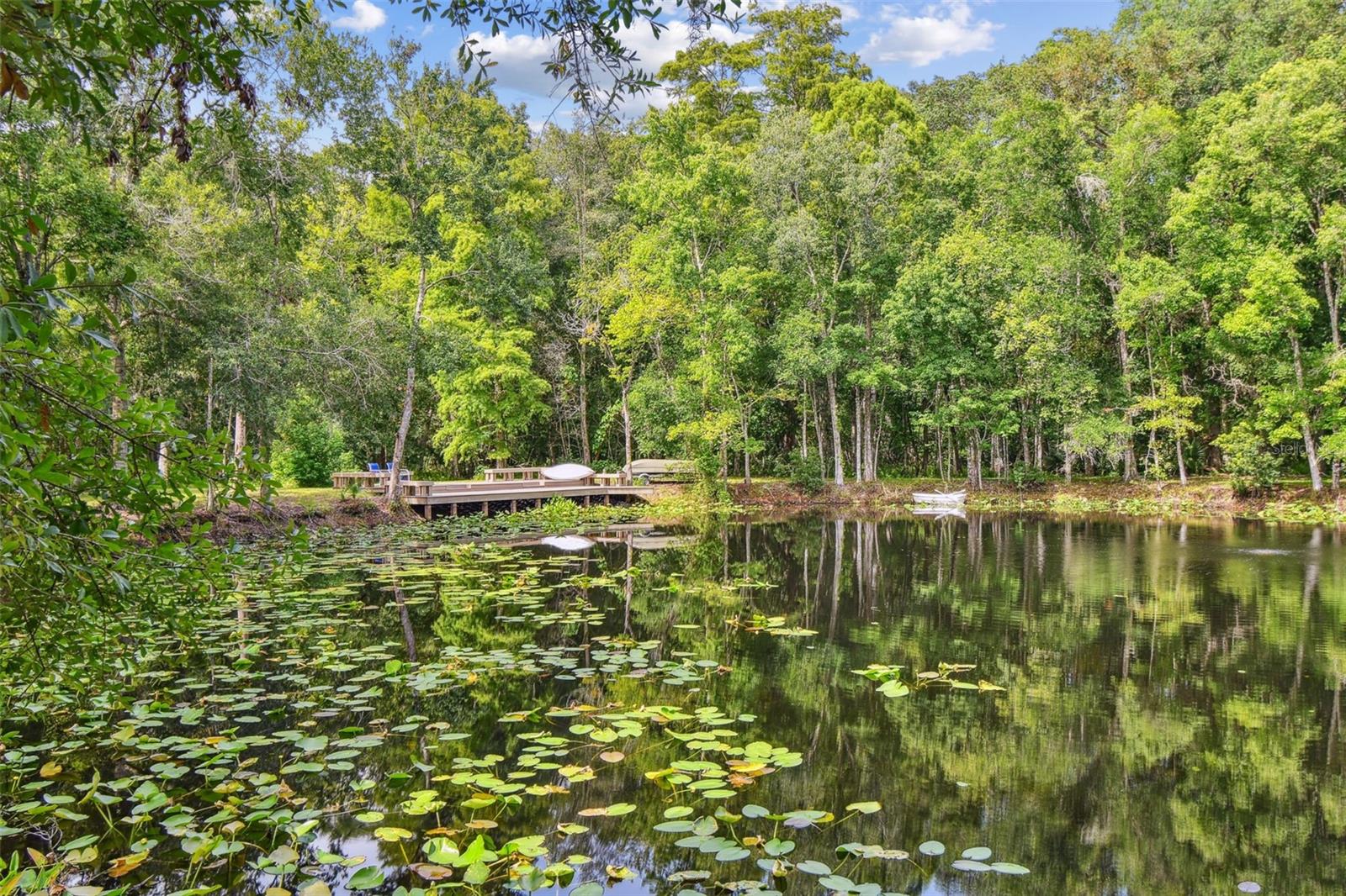 Listing photo id 34 for 2612 Regal Oaks Lane
