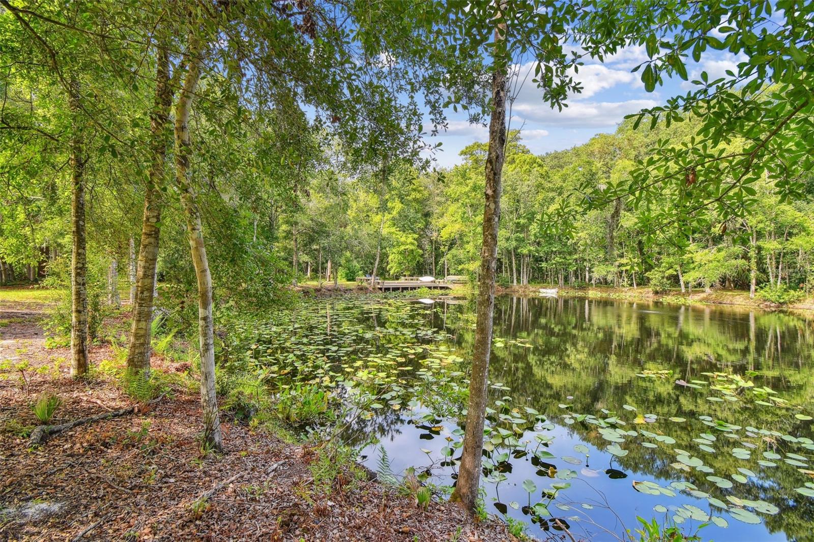Listing photo id 35 for 2612 Regal Oaks Lane