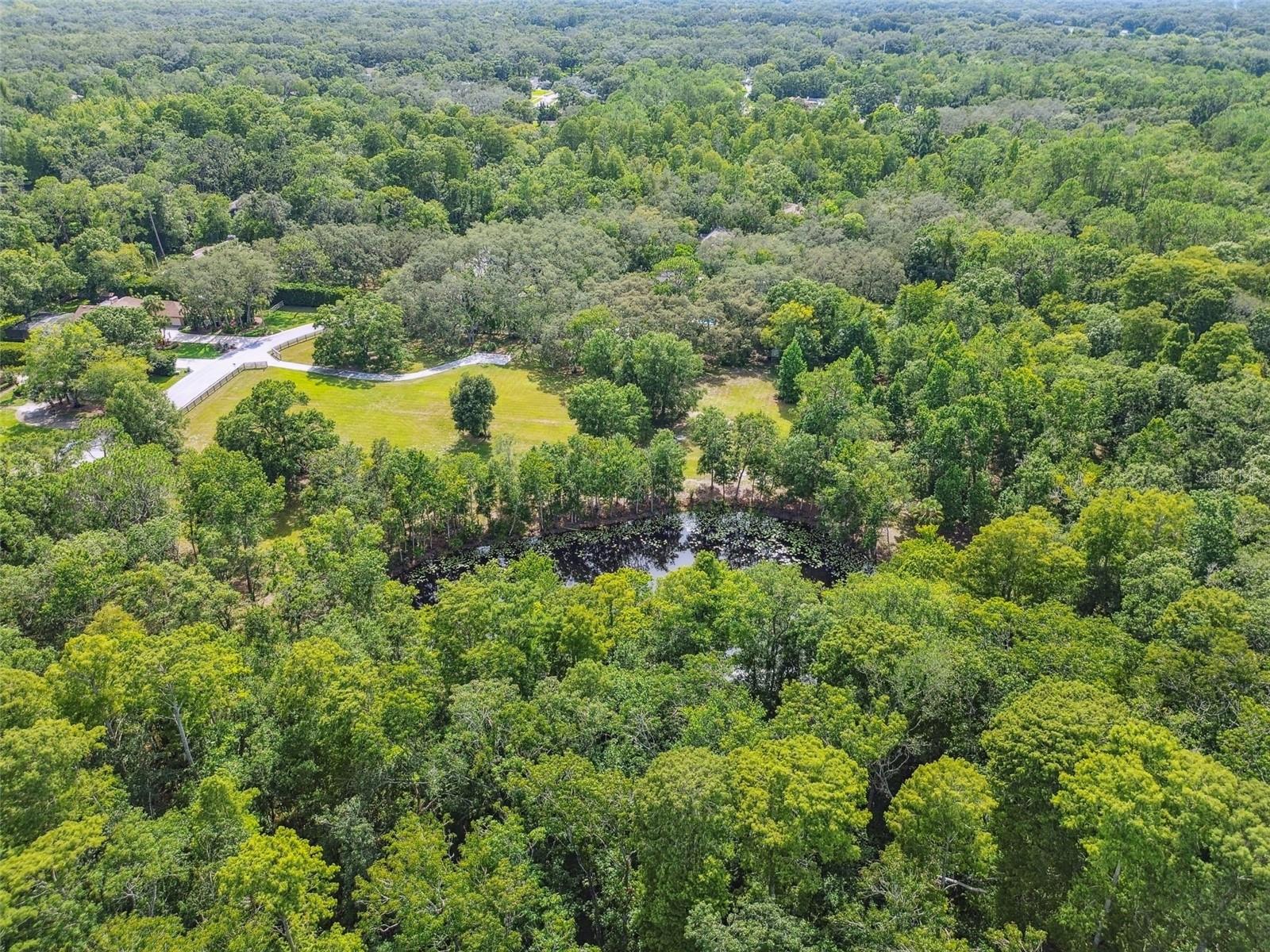 Listing photo id 43 for 2612 Regal Oaks Lane