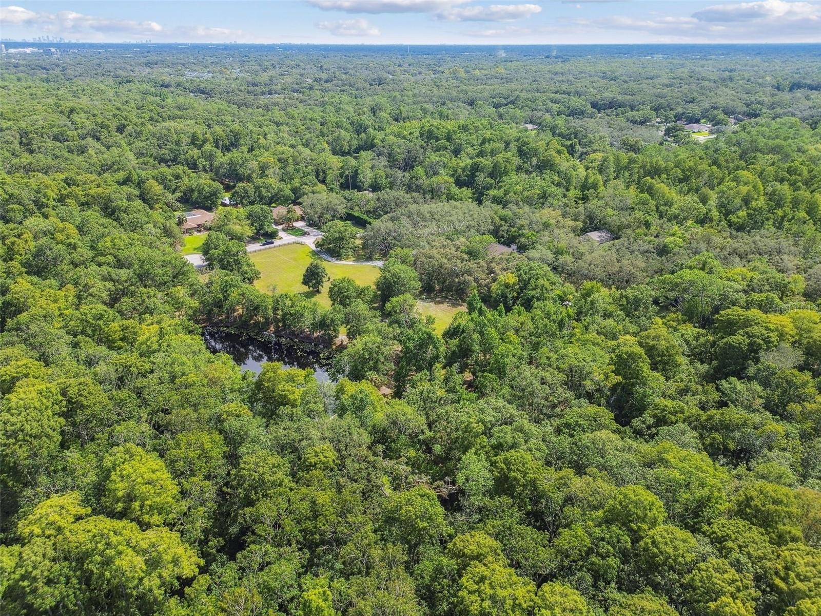 Listing photo id 44 for 2612 Regal Oaks Lane