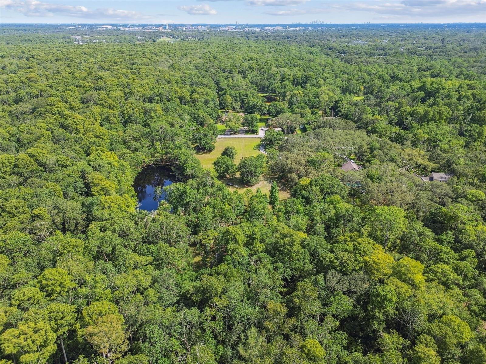 Listing photo id 45 for 2612 Regal Oaks Lane