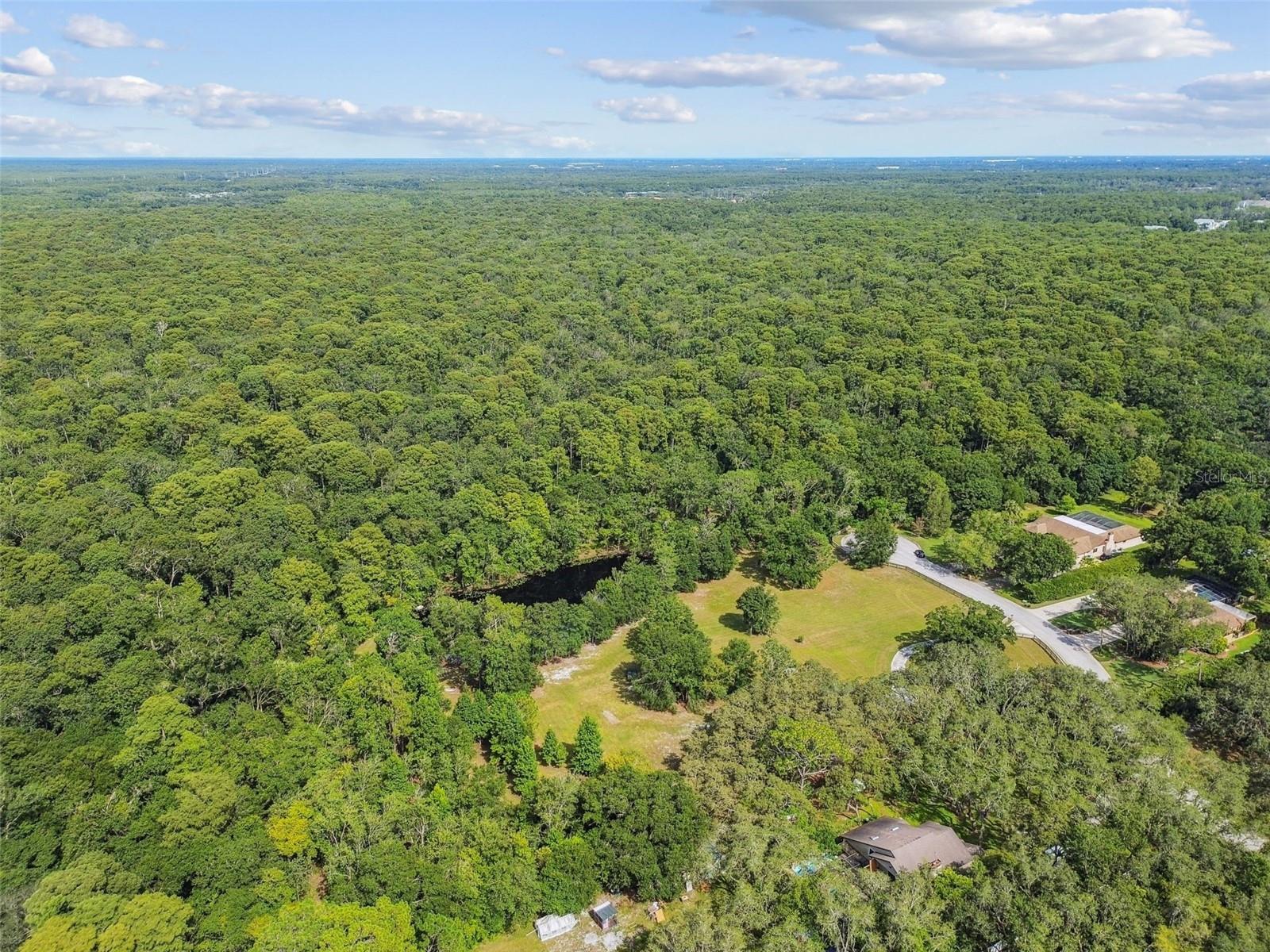 Listing photo id 47 for 2612 Regal Oaks Lane
