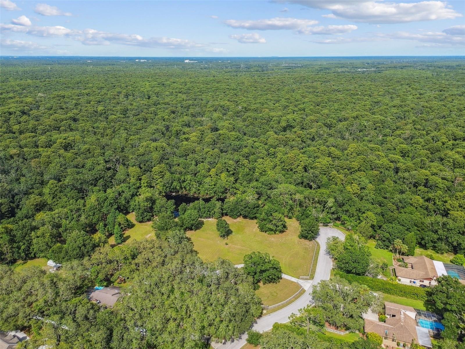 Listing photo id 49 for 2612 Regal Oaks Lane