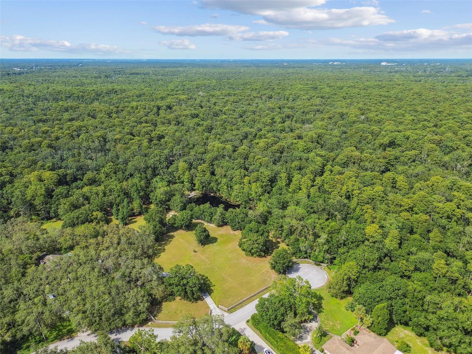 Listing photo id 51 for 2612 Regal Oaks Lane