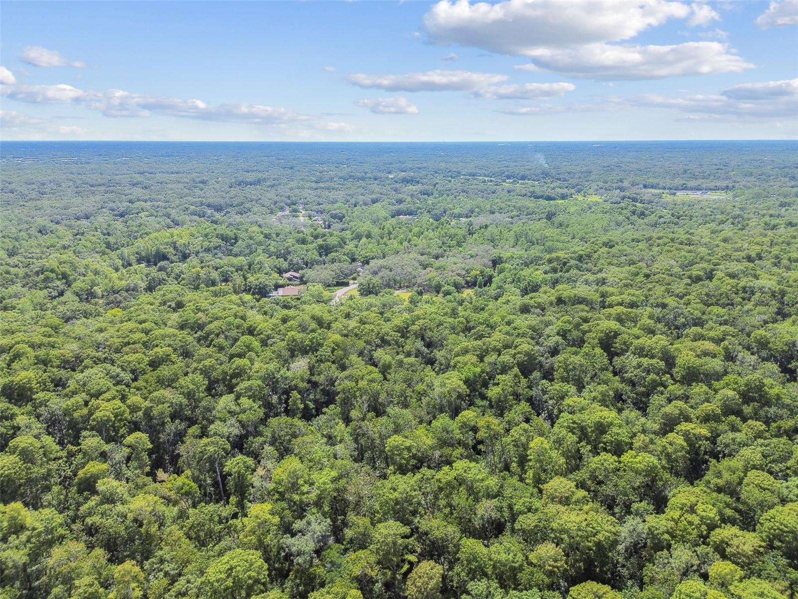 Listing photo id 55 for 2612 Regal Oaks Lane