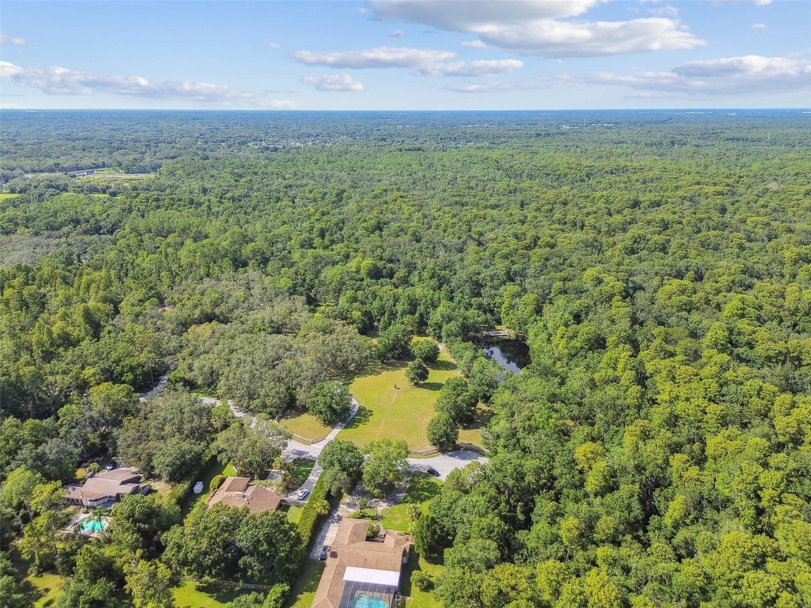 Listing photo id 62 for 2612 Regal Oaks Lane