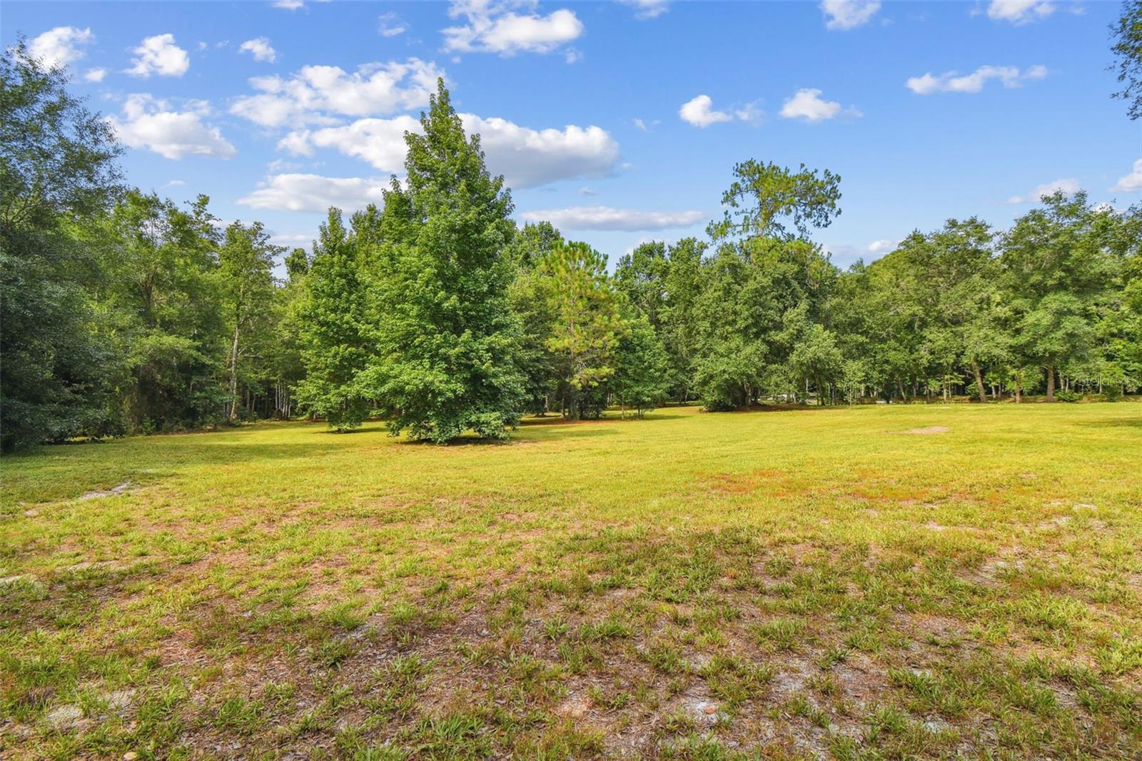 Listing photo id 5 for 2612 Regal Oaks Lane