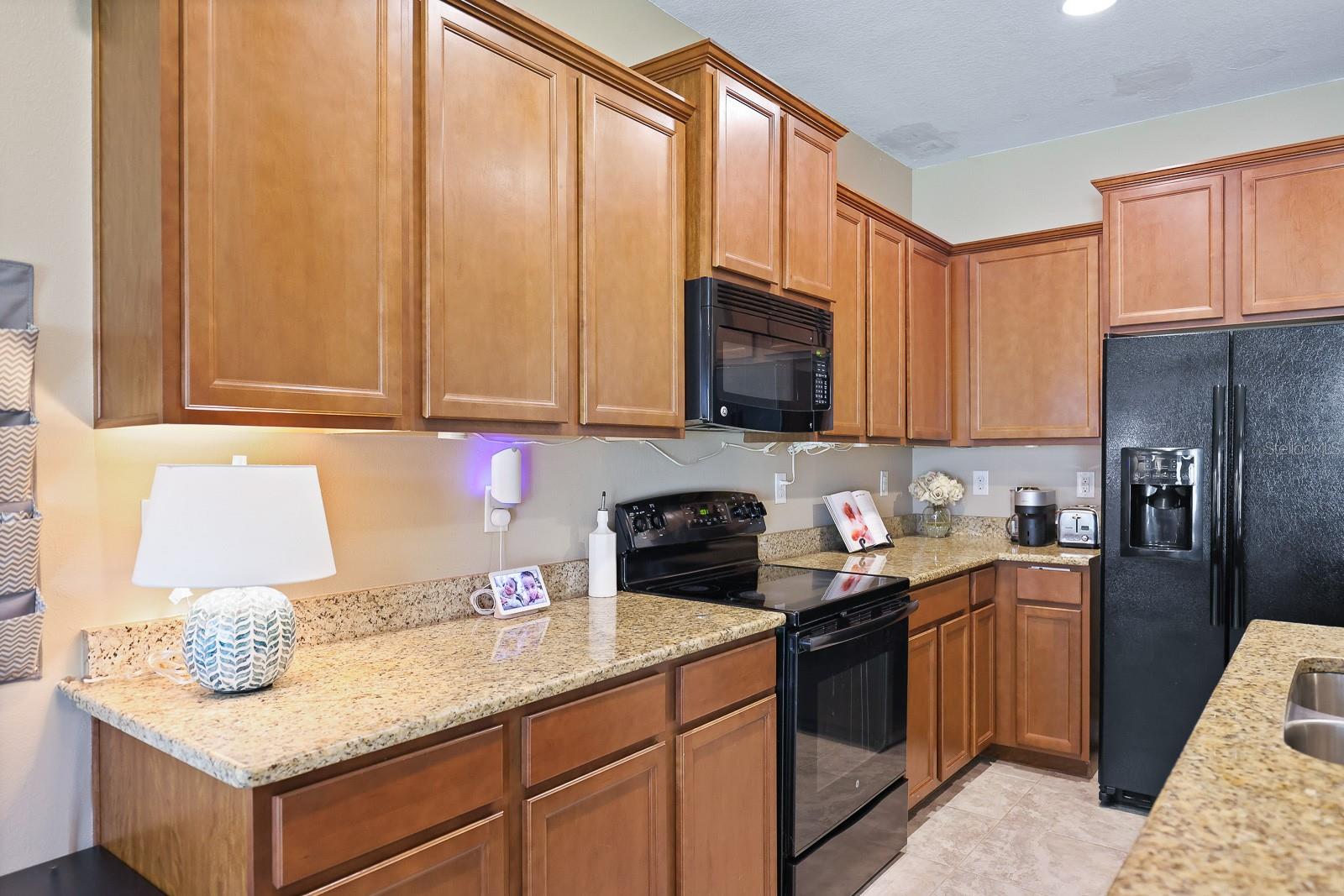 Image 12 of 29 For 10407 Orchid Mist Court