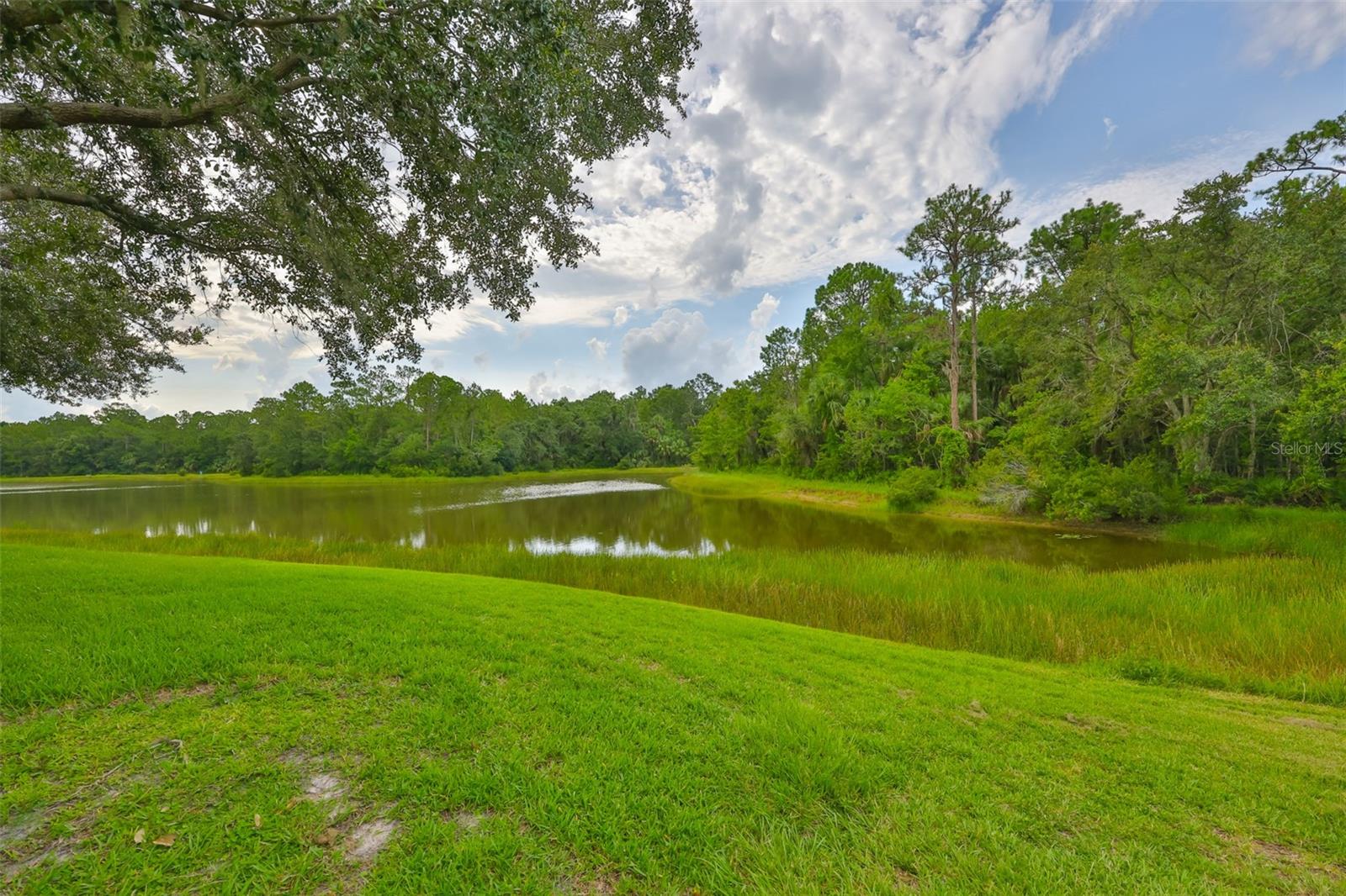 Image 9 of 52 For 8613 Herons Cove Place