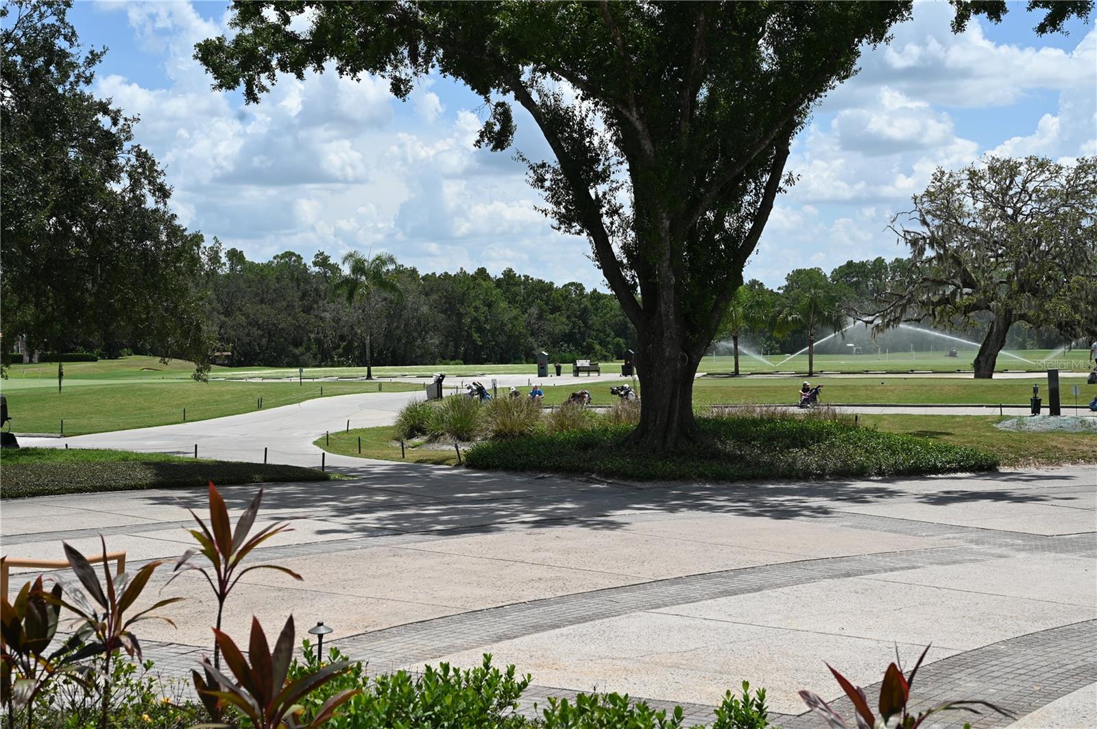 Listing photo id 64 for 5819 Bent Grass Drive