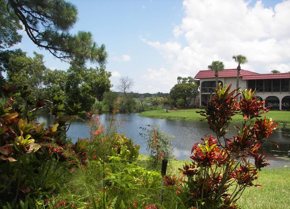 Details for 1007 Bayshore Boulevard 107, SAFETY HARBOR, FL 34695