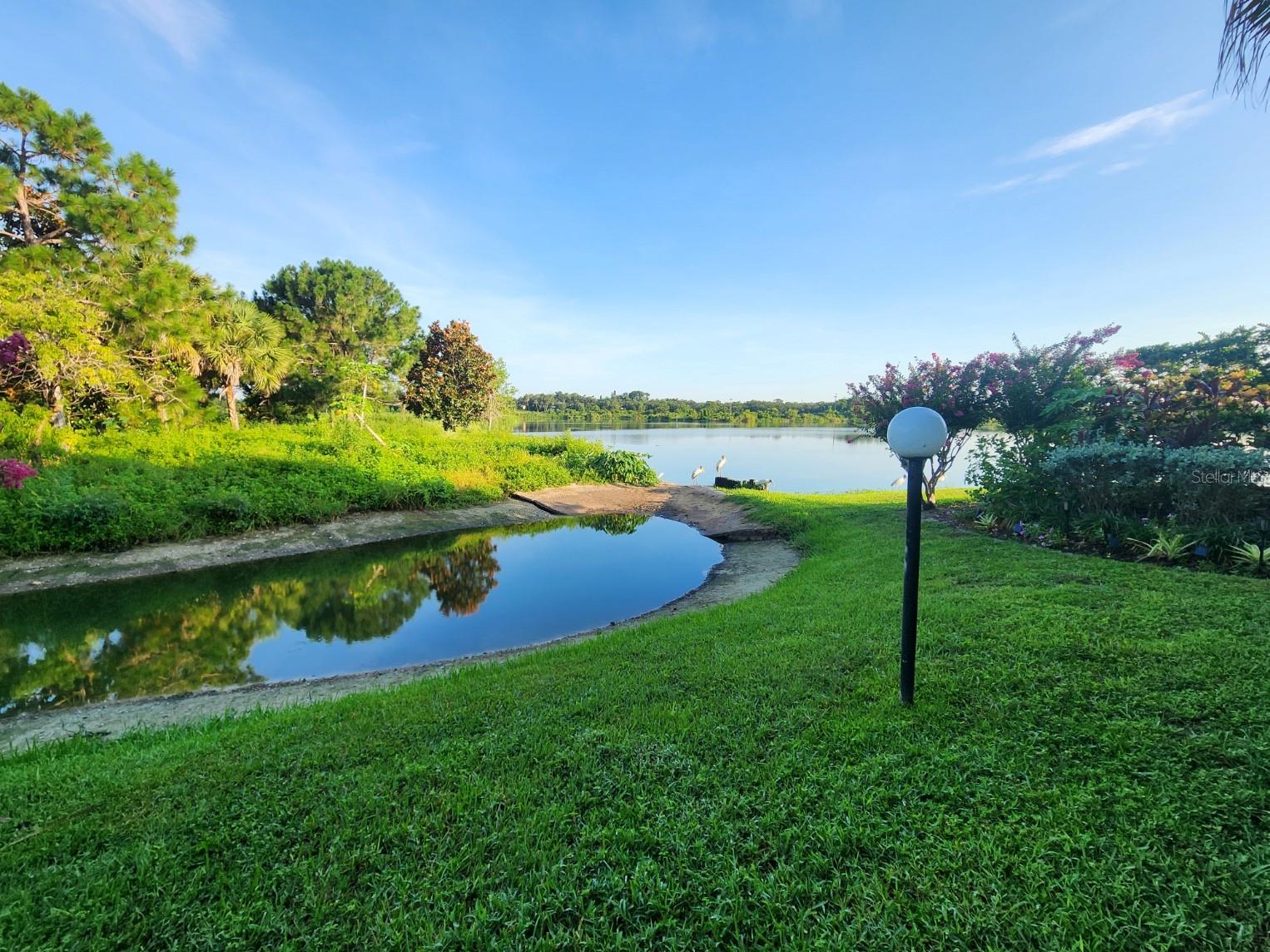 Image 4 of 25 For 1007 Bayshore Boulevard 107