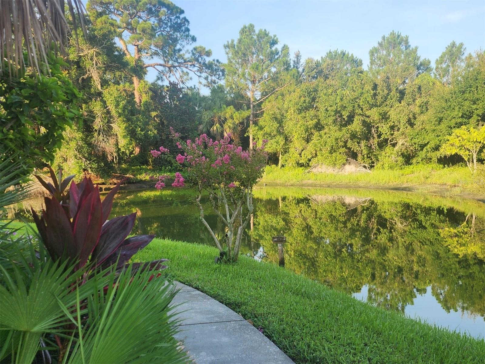 Image 5 of 25 For 1007 Bayshore Boulevard 107