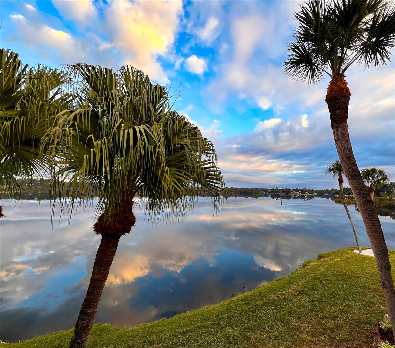 Image 9 of 25 For 1007 Bayshore Boulevard 107