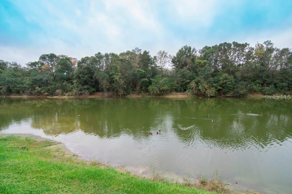 Image 15 of 17 For 804 Lake Haven Square 101