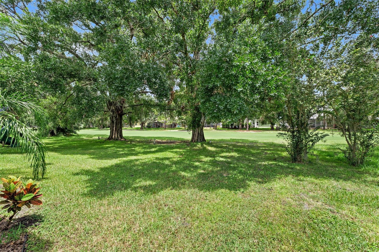 Image 36 of 46 For 16511 Turnbury Oak Drive
