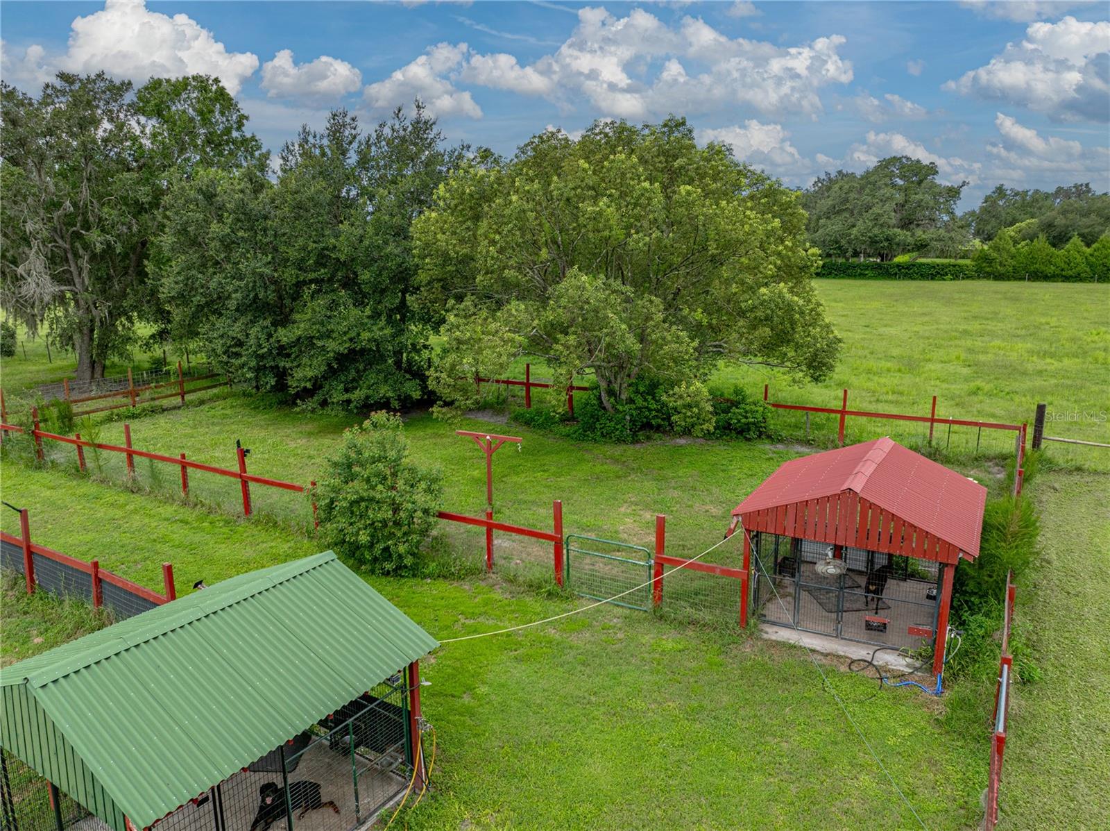 Listing photo id 59 for 13350 Olofin Way