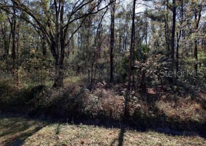 Details for 4572 Division Street, HASTINGS, FL 32145