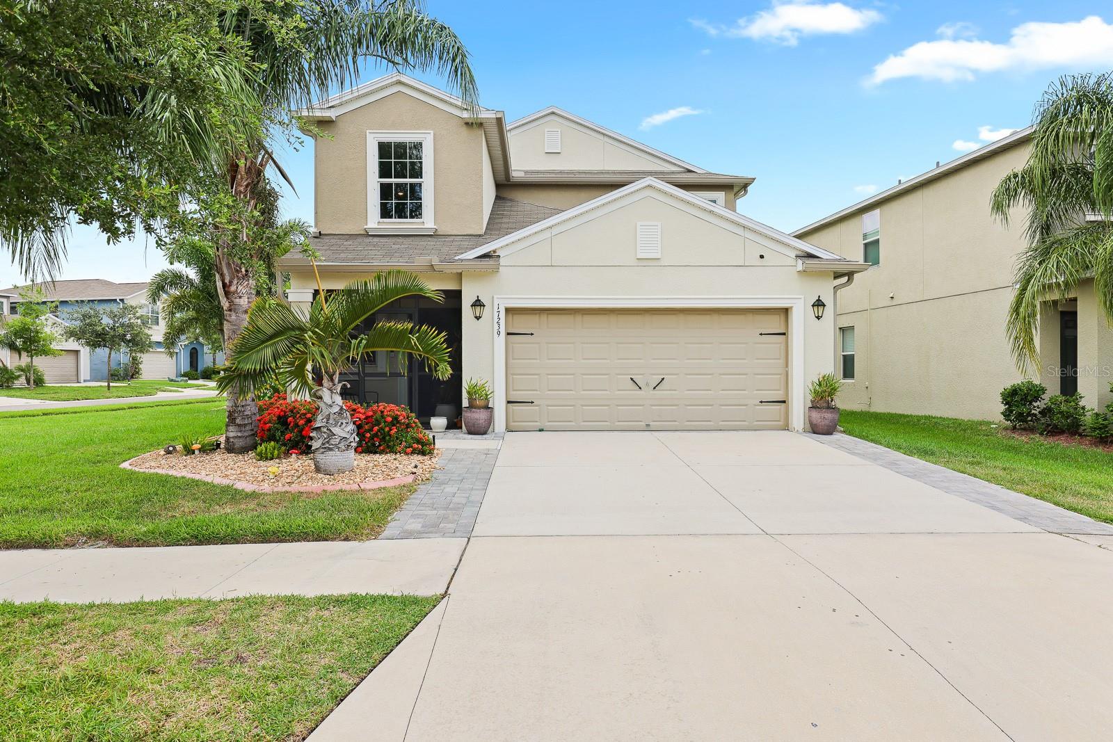 Details for 17239 White Mangrove Drive, WIMAUMA, FL 33598