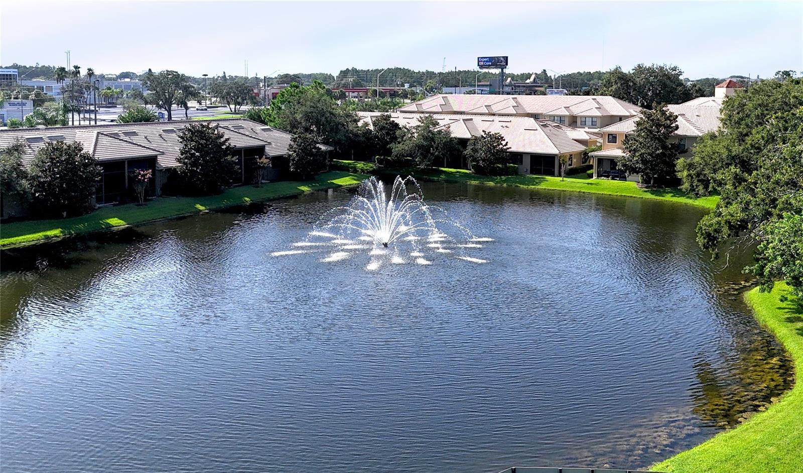 Listing photo id 36 for 2567 Gloriosa Drive