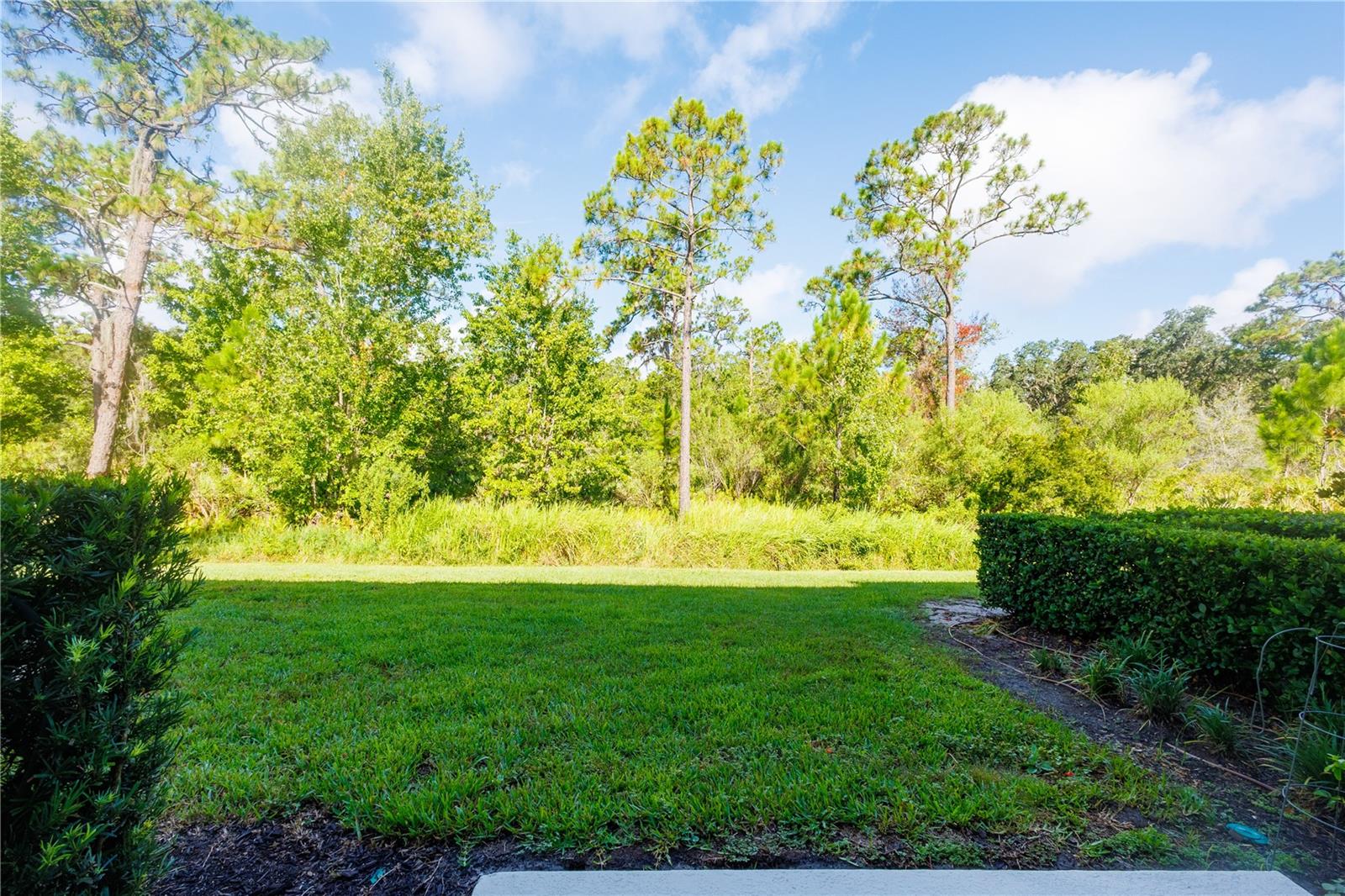 Image 29 of 29 For 11072 Whistling Pine Way
