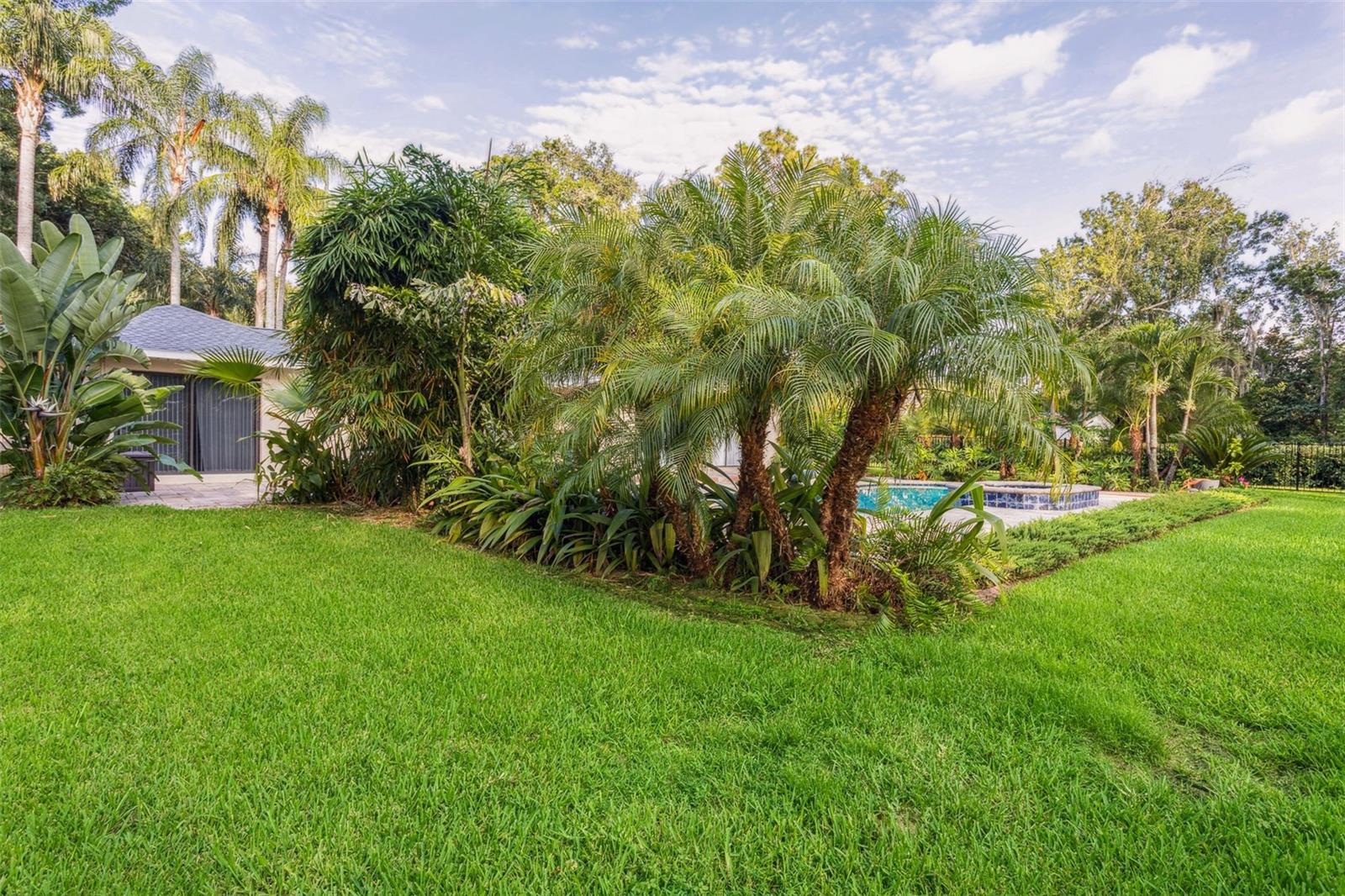 Listing photo id 45 for 19100 Forrest Drive