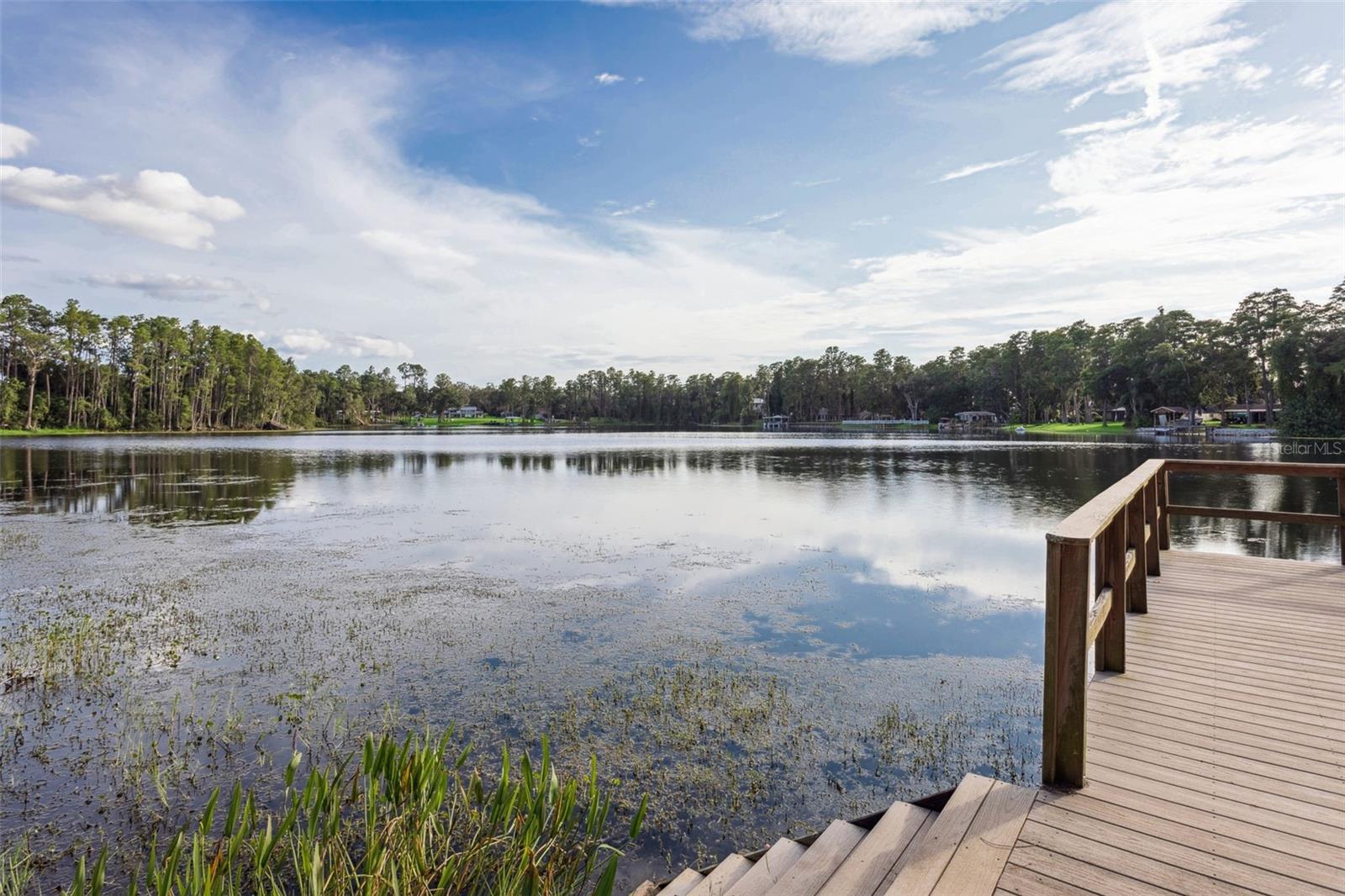 Listing photo id 47 for 19100 Forrest Drive