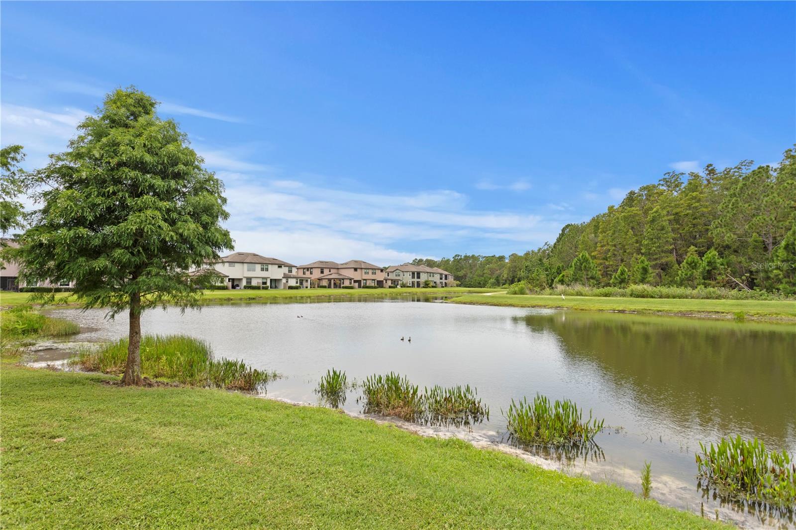 Image 32 of 47 For 4887 Isola Court