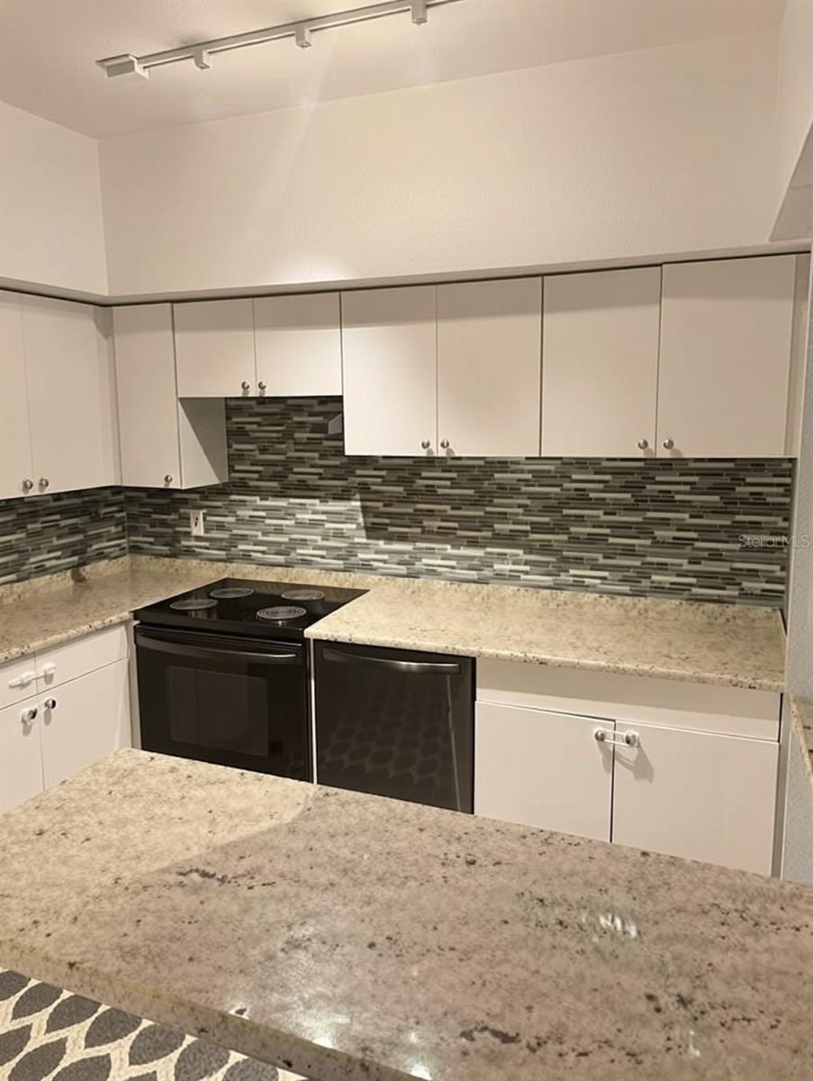 Image 2 of 16 For 2411 Horatio Street 539