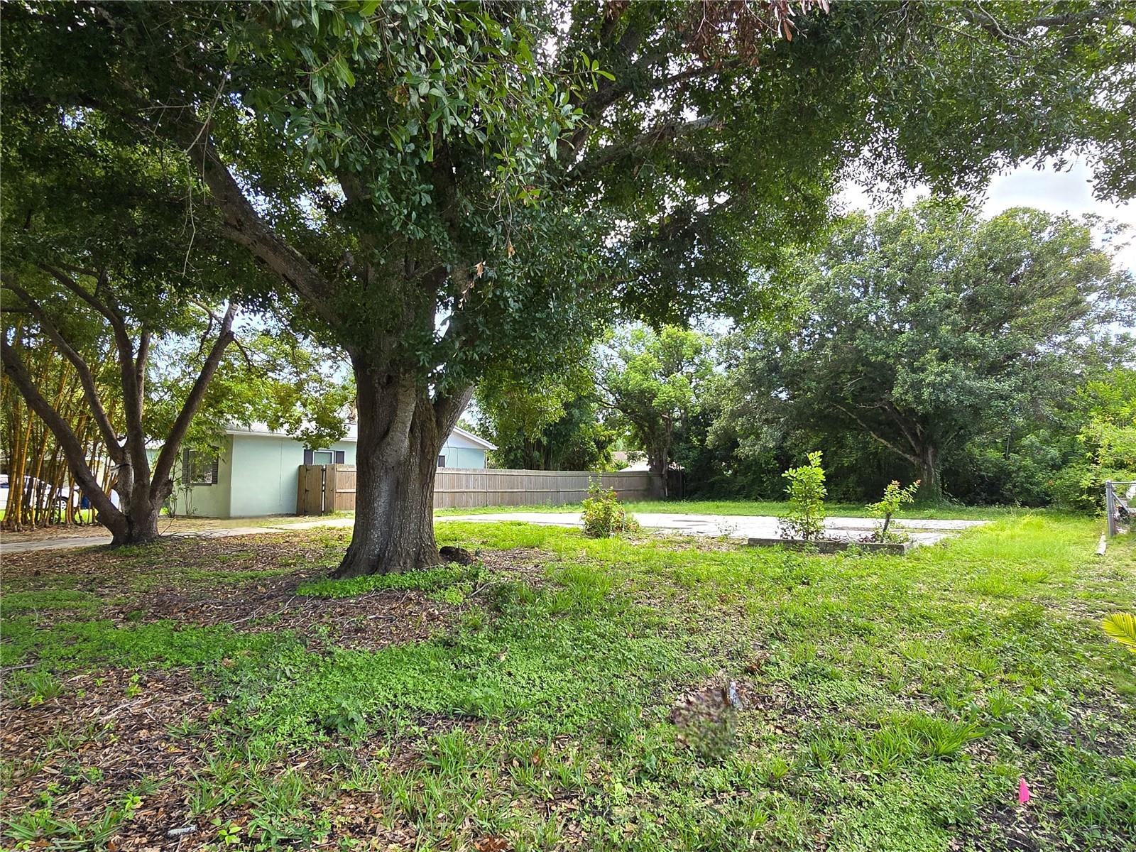Image 9 of 22 For 18 Jupiter Avenue