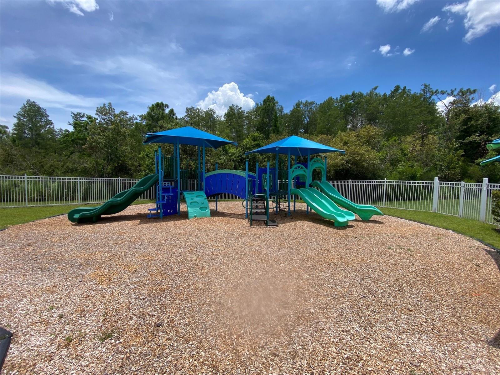 Image 65 of 78 For 1900 Cascades Cove Drive
