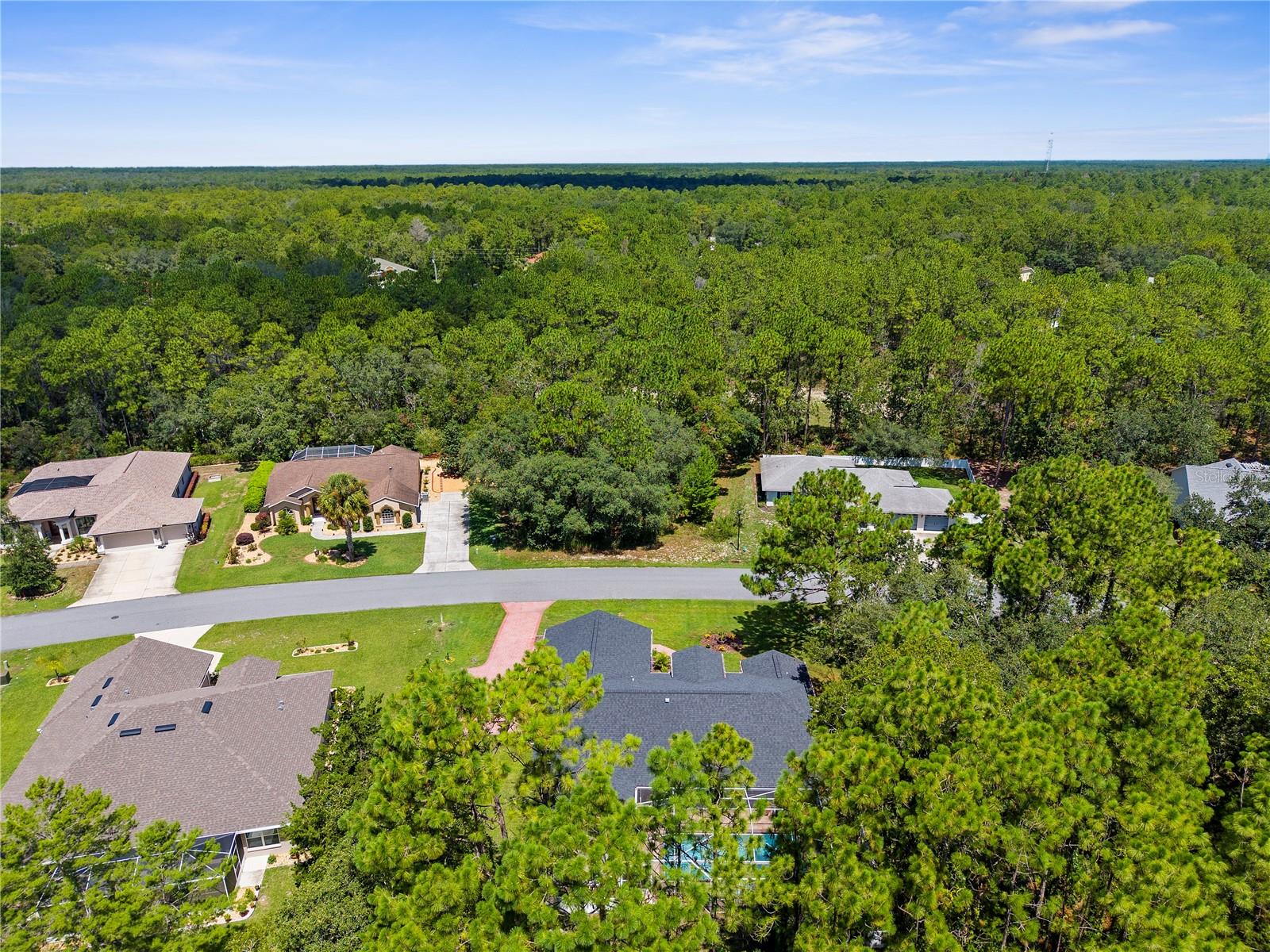 Listing photo id 54 for 9 Plumbago Court