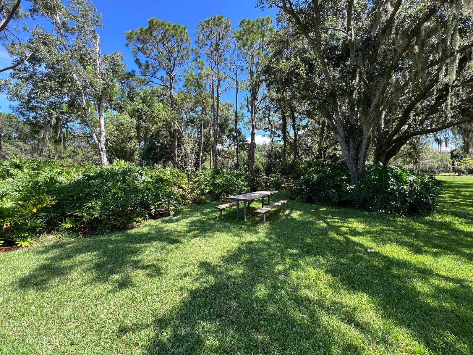 Image 41 of 53 For 4471 Rockwood Drive