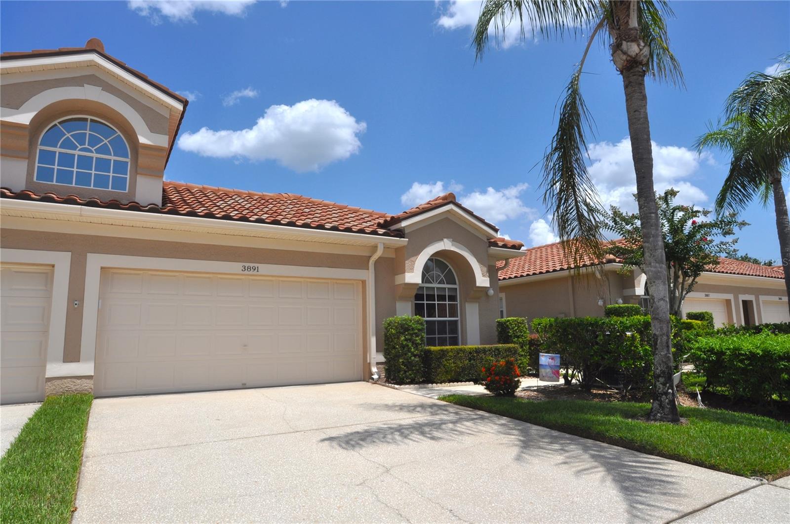 Details for 3891 Timber Ridge Court, PALM HARBOR, FL 34685