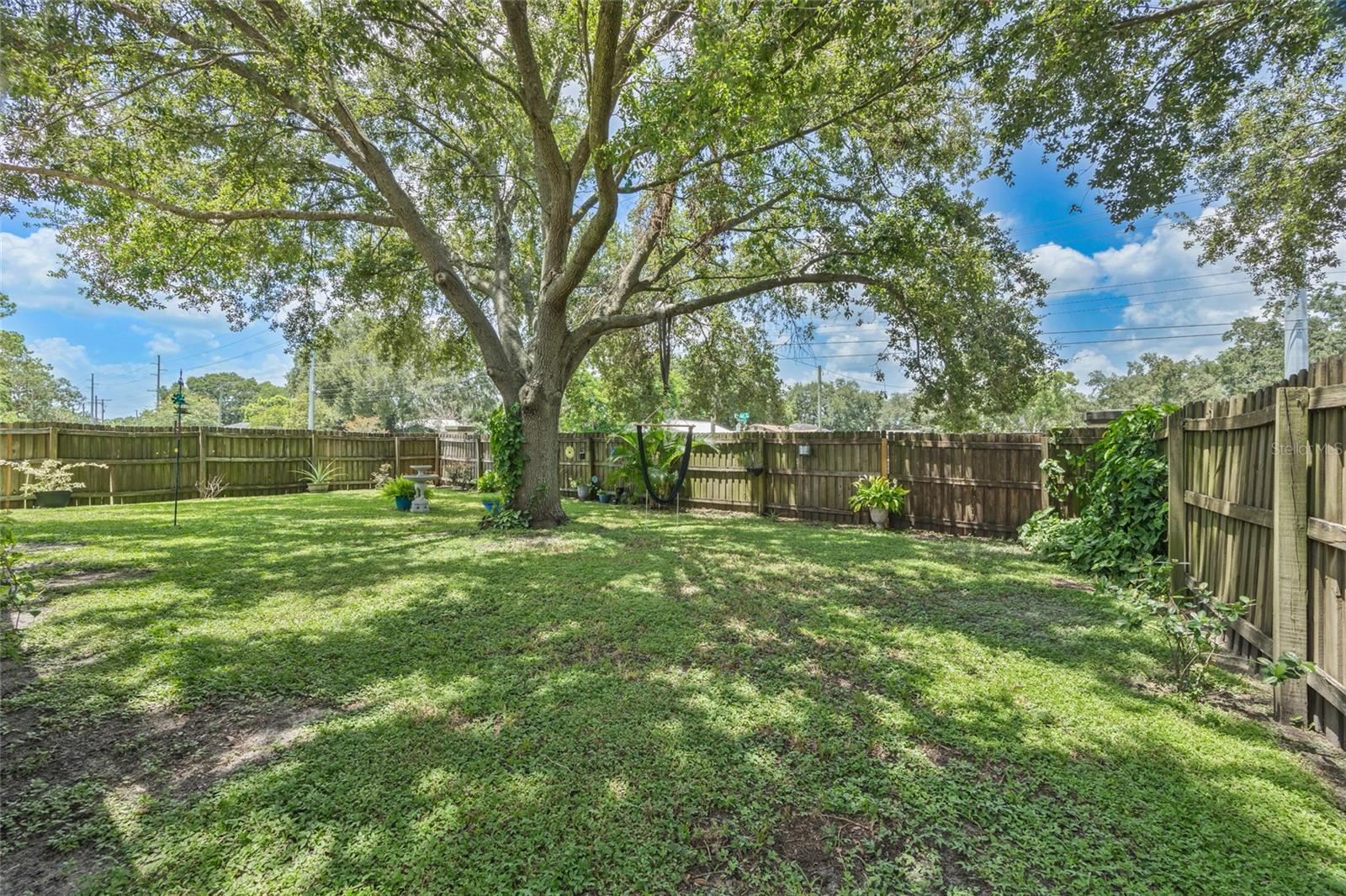 Listing photo id 25 for 208 Citrus Landing Drive