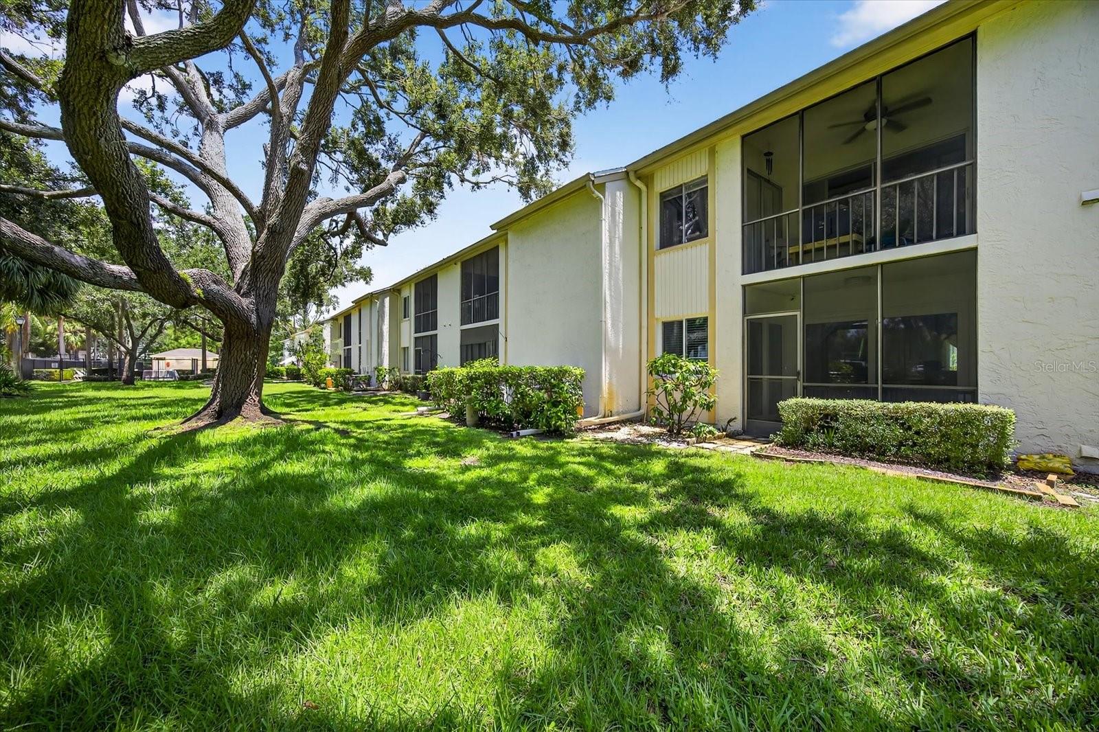 Image 28 of 38 For 117 Cypress Court 117