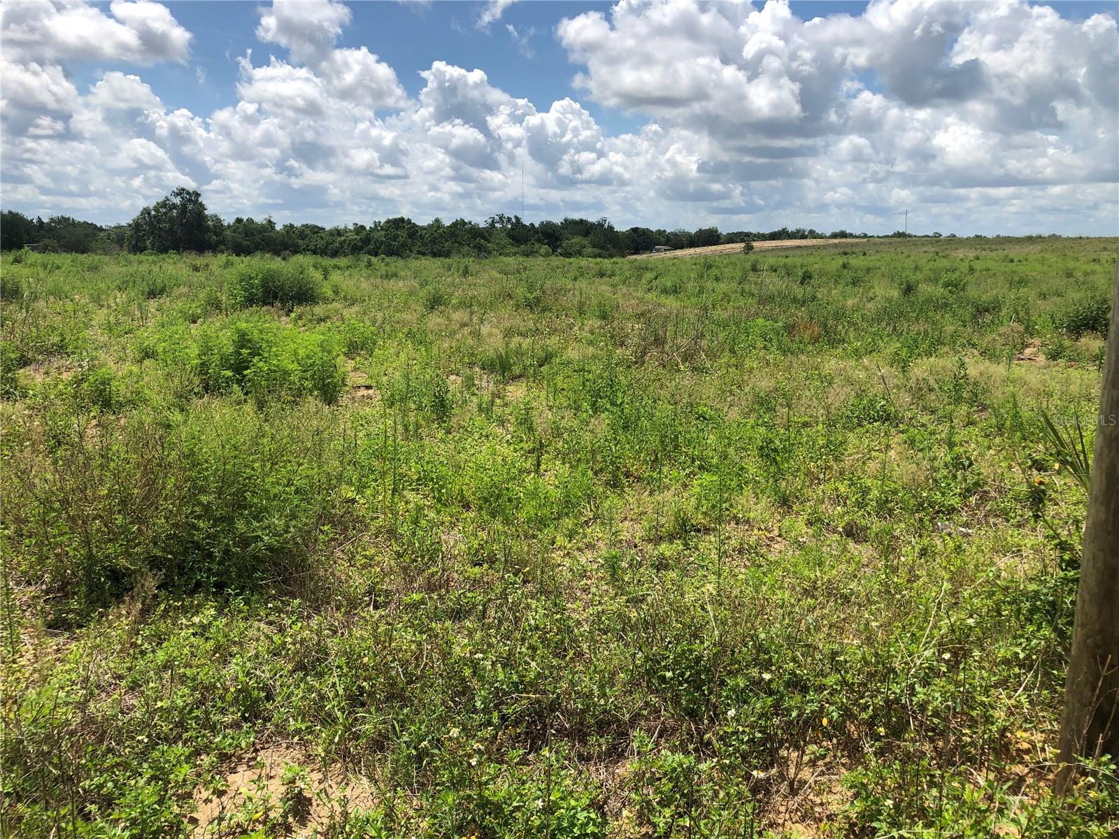 Image 18 of 43 For 1101 Bird Road