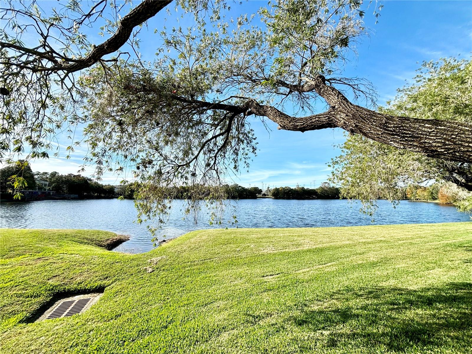 Image 41 of 41 For 2794 Countryside Boulevard 2