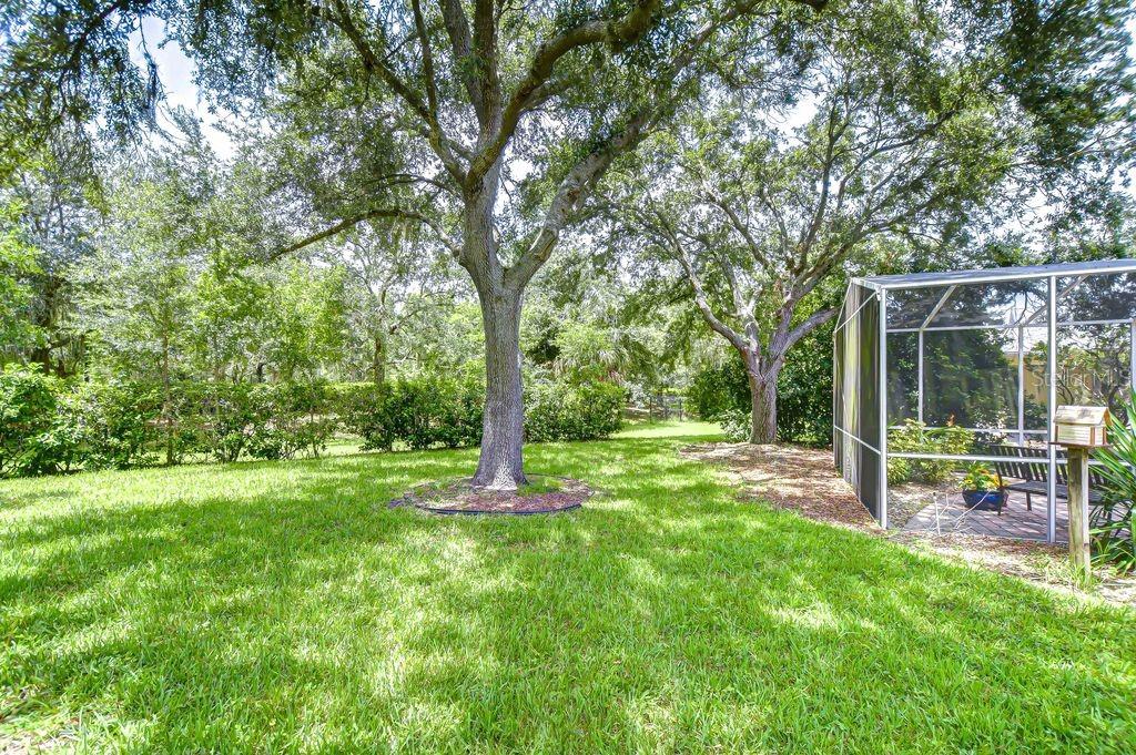 Image 22 of 41 For 8005 Shaddock Place