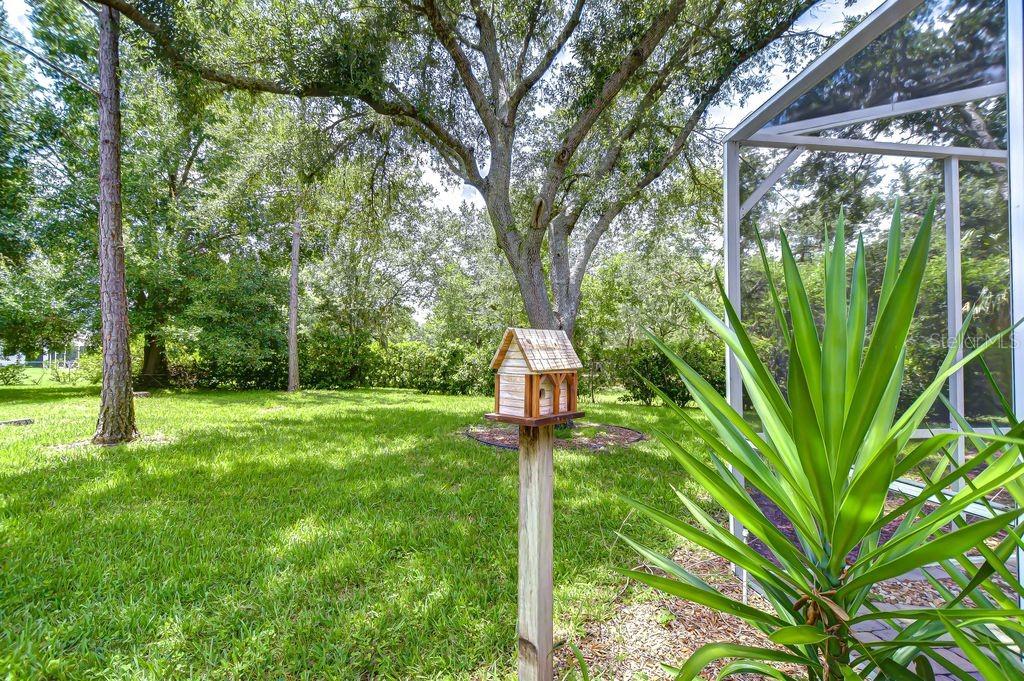 Image 23 of 41 For 8005 Shaddock Place