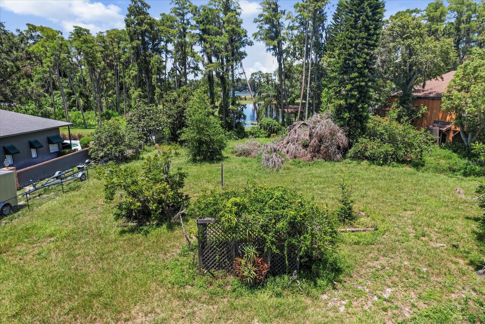 Image 46 of 59 For 503 Lutz Lake Fern Road