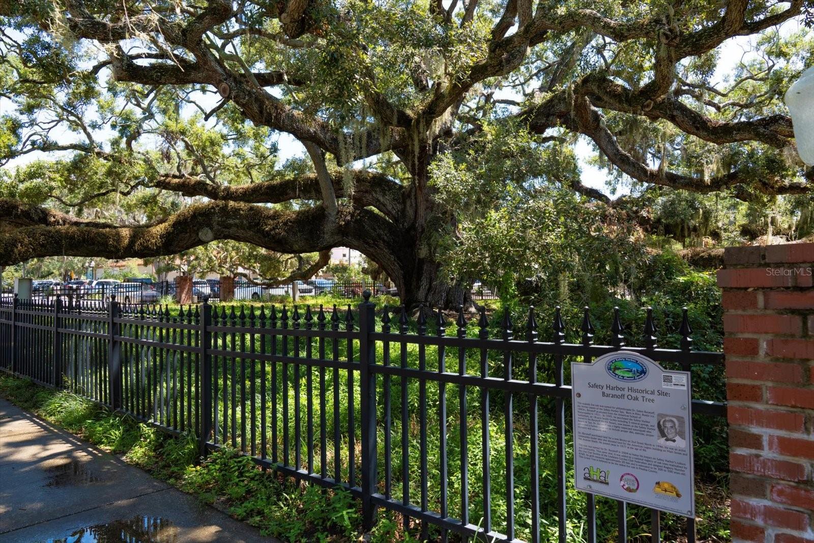 Image 46 of 52 For 3107 Oyster Bayou Way
