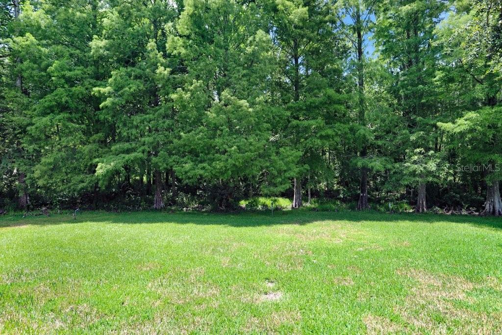 Image 45 of 73 For 12029 Brewster Drive