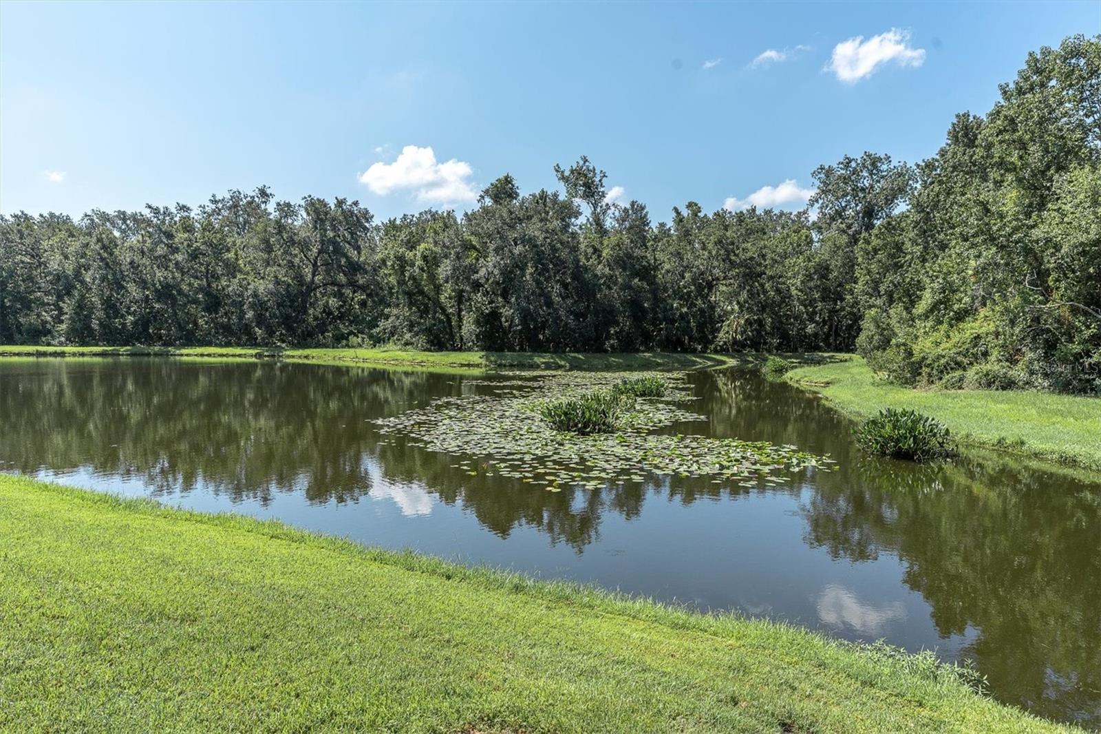 Image 56 of 76 For 27050 Laurel Chase Lane