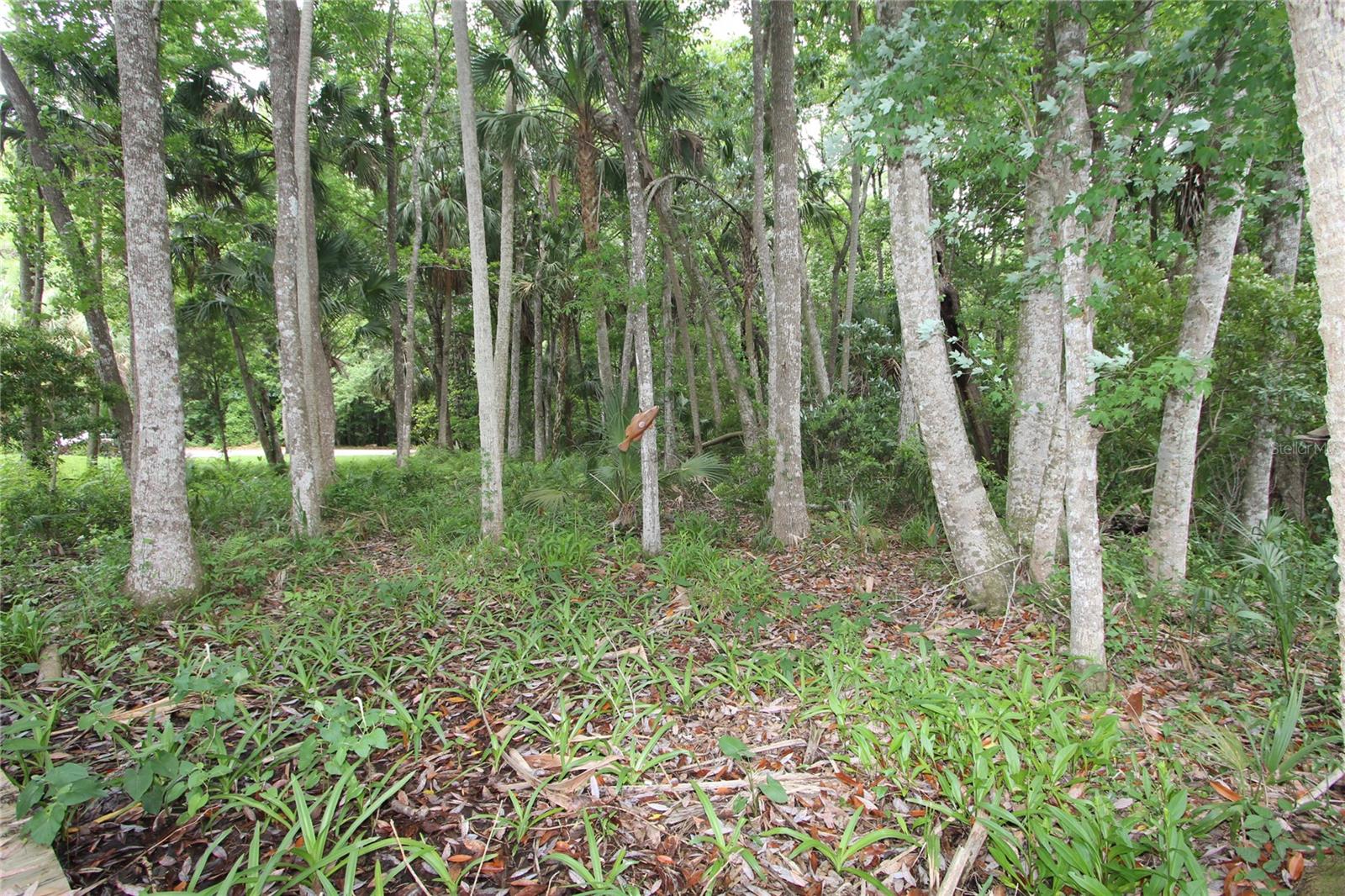 Image 4 of 7 For 9654 River Cove Place