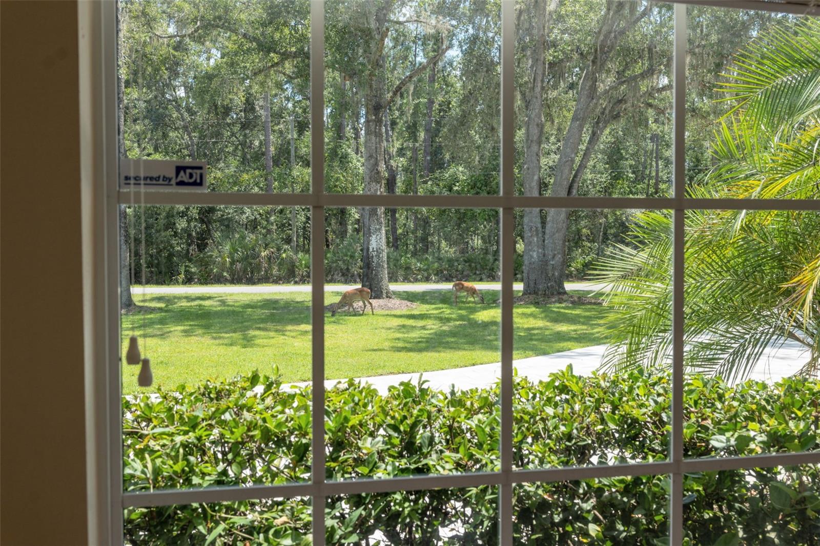 Image 63 of 87 For 27641 Lincoln Place