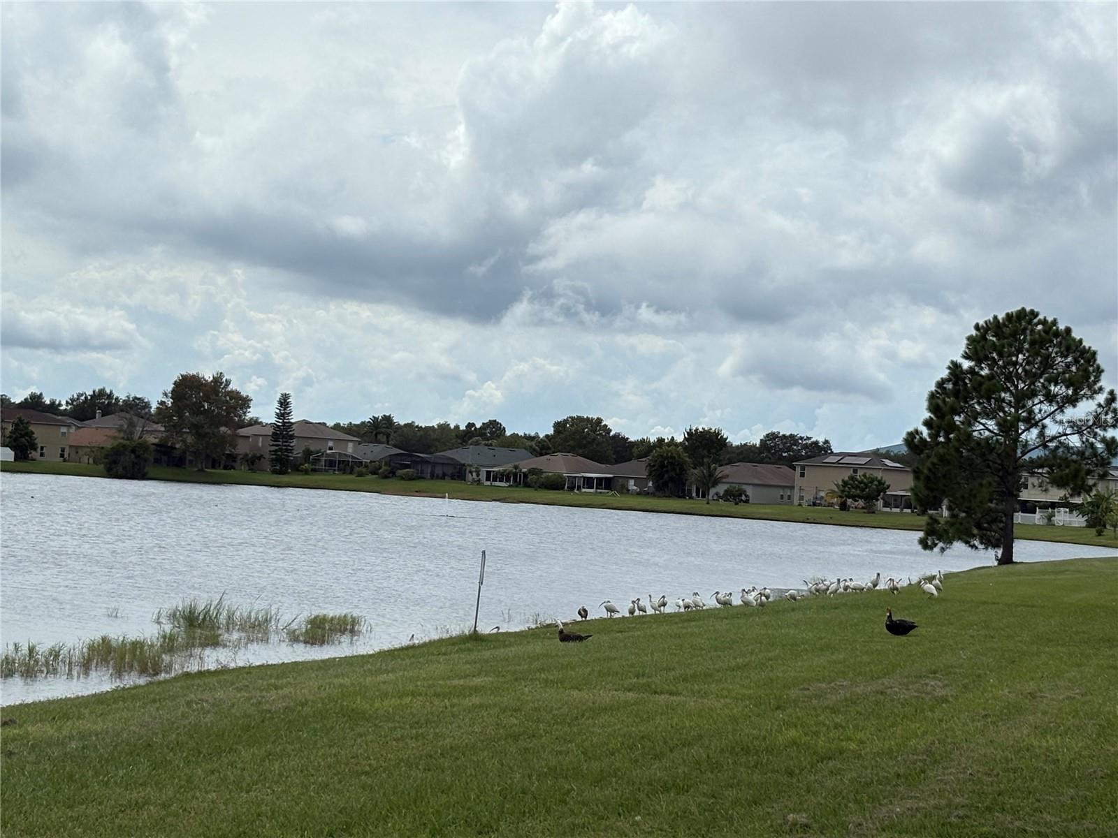 Image 20 of 24 For 15090 Waterford Chase Pkwy
