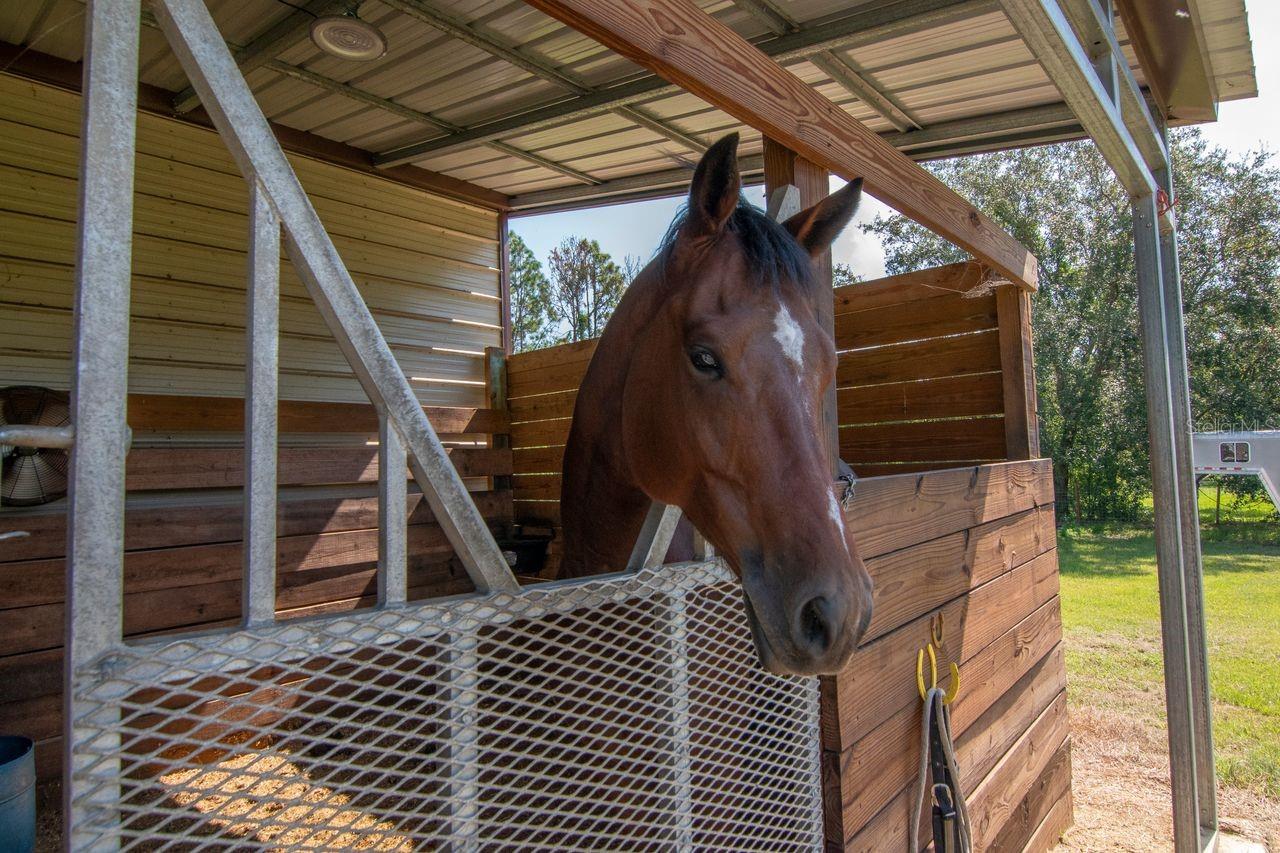 Image 32 of 41 For 8736 23rd Street