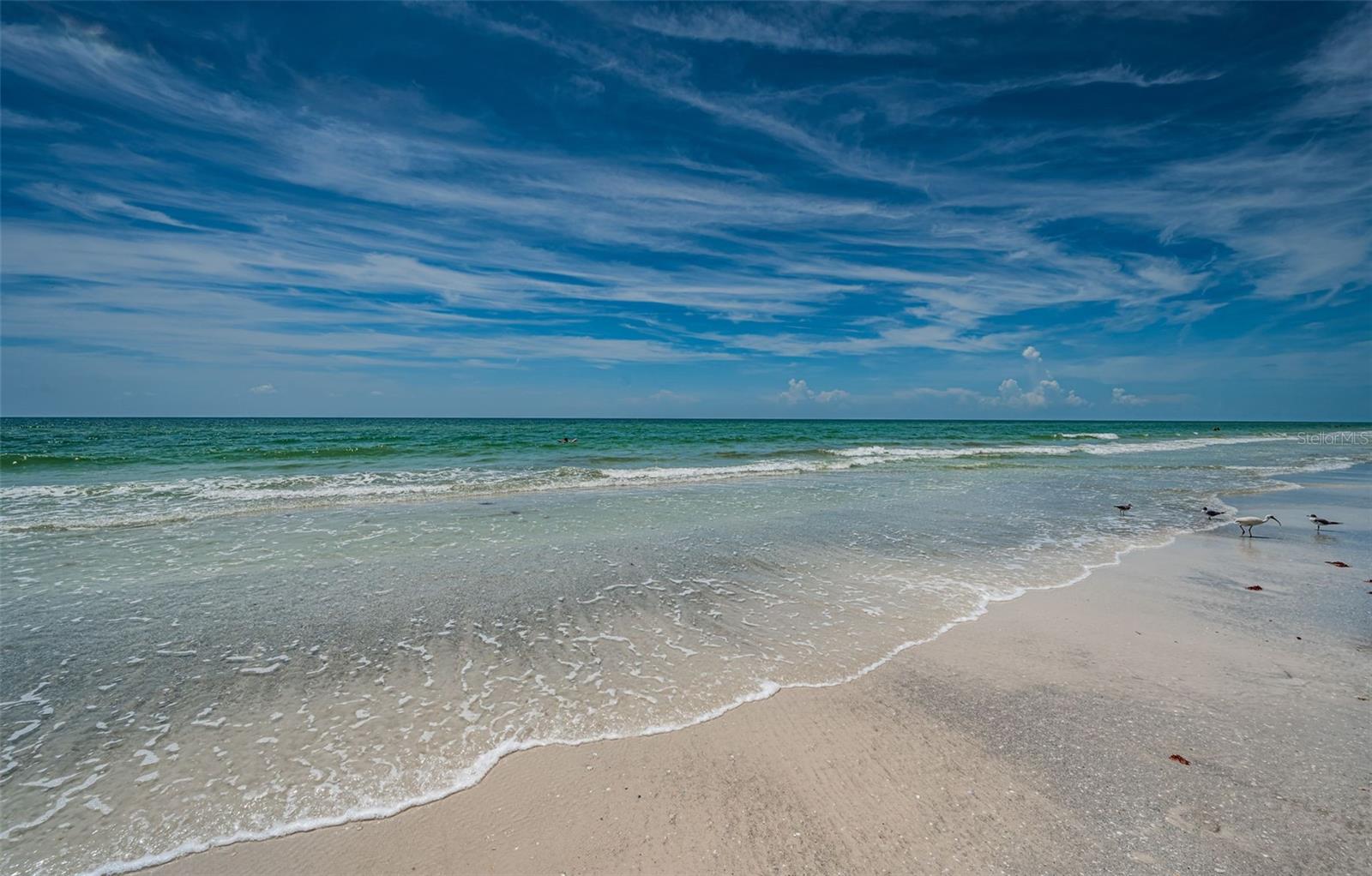 Listing photo id 46 for 19816 Gulf Boulevard 502