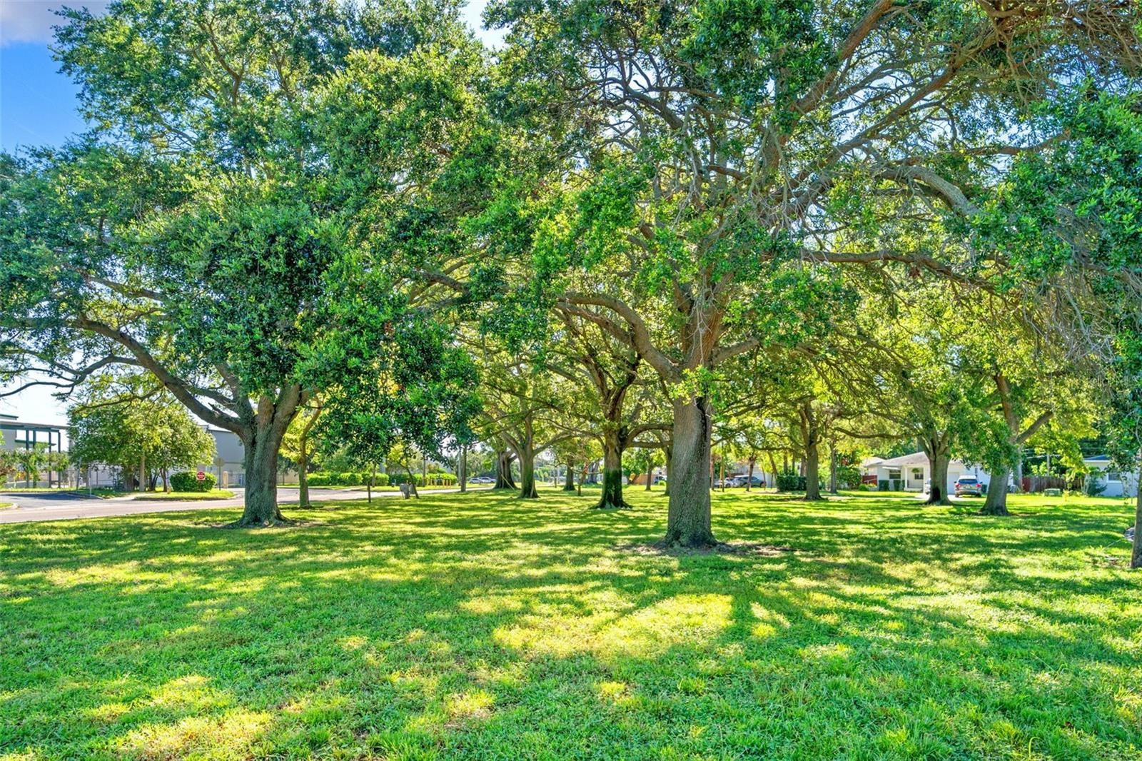 Image 4 of 34 For 1230 32nd Street N